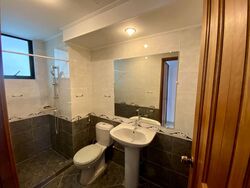 Spring Grove (D10), Condominium #586693031